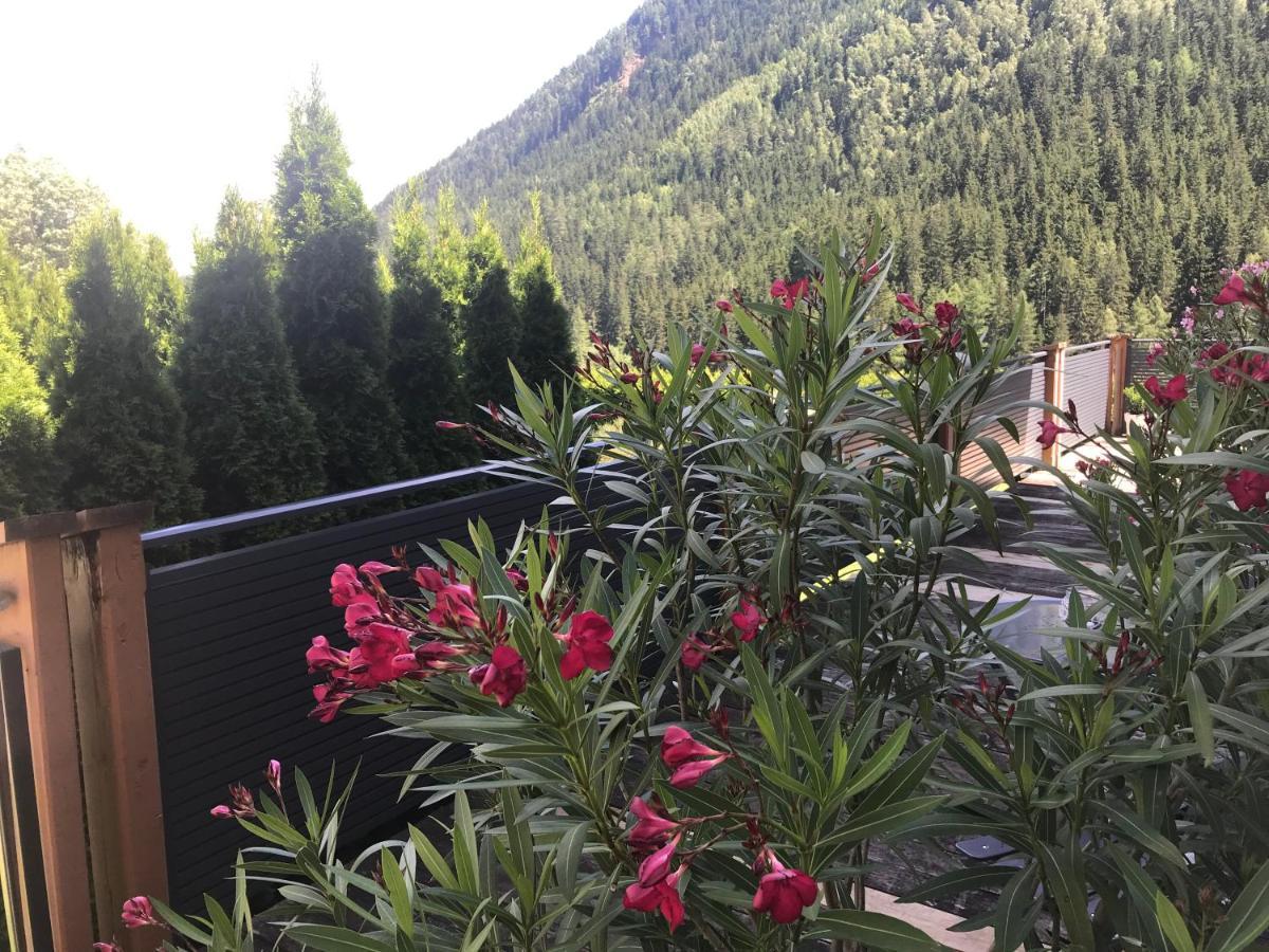 Wohlfuehlpension Kreischberg Inklusive Murau Sommergaestecard Ab 2 Naechte Sankt Georgen ob Murau Dış mekan fotoğraf
