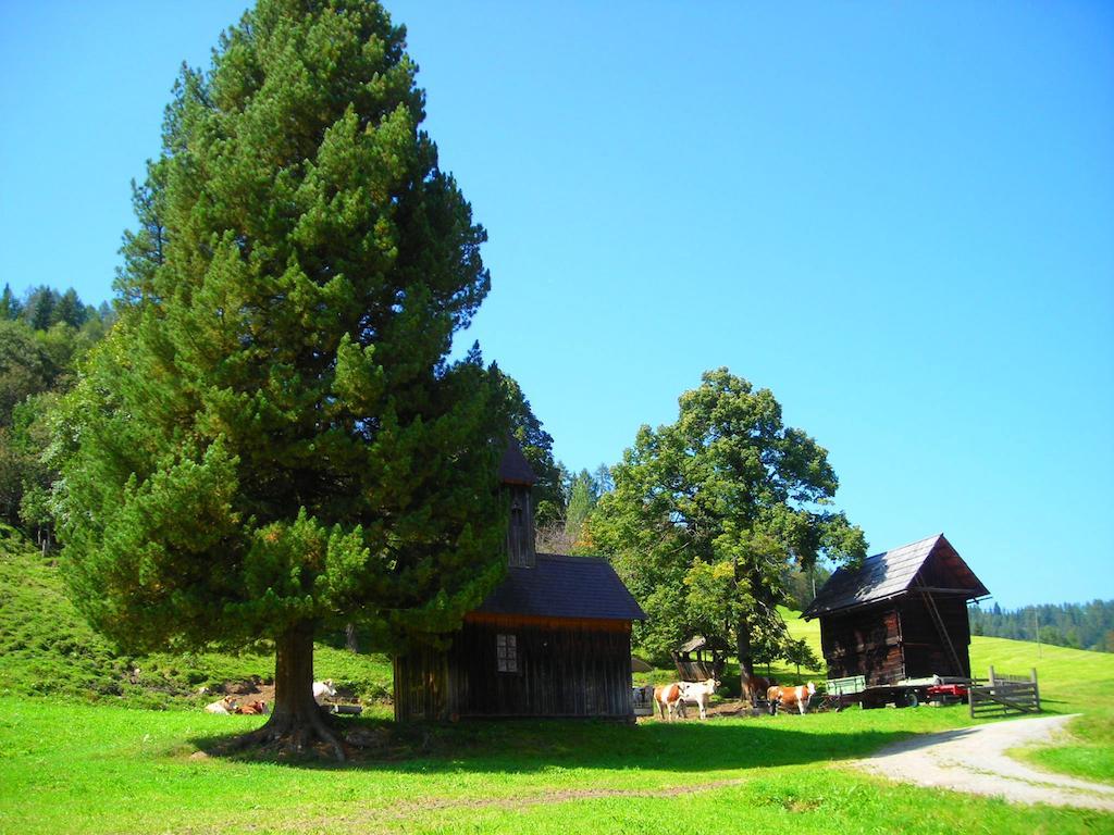 Wohlfuehlpension Kreischberg Inklusive Murau Sommergaestecard Ab 2 Naechte Sankt Georgen ob Murau Dış mekan fotoğraf