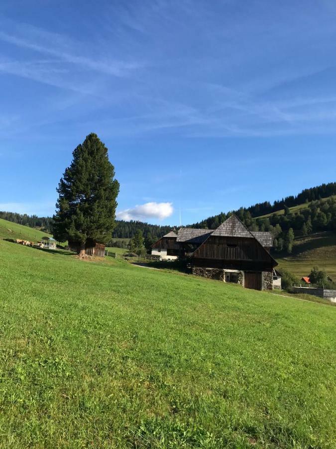 Wohlfuehlpension Kreischberg Inklusive Murau Sommergaestecard Ab 2 Naechte Sankt Georgen ob Murau Dış mekan fotoğraf